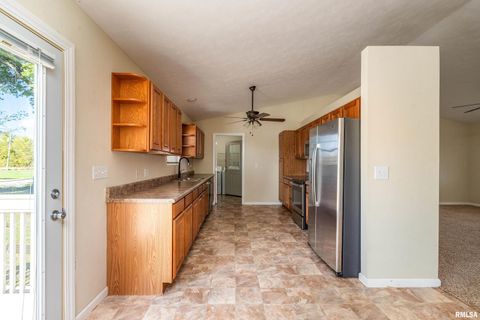 Tiny photo for 1304 HAZEL Street, Johnston City, IL 62951 (MLS # EB460333)