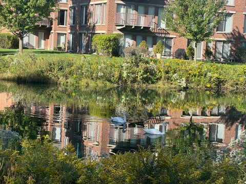 Tiny photo for 401 KELBURN Road #114, Deerfield, IL 60015 (MLS # 12762783)