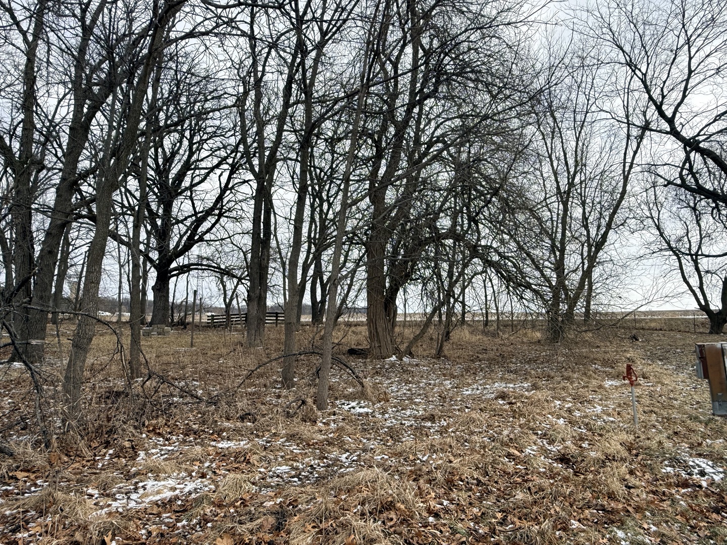 11-45 Woodhaven Lakes
