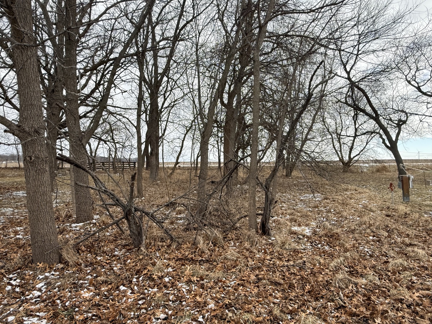 11-45 Woodhaven Lakes