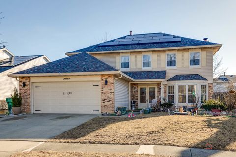 1009 Hilldale Lane Buffalo Grove IL 60089