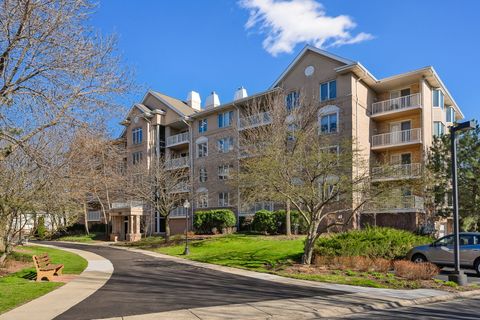 1731 Pavilion Way 405 Park Ridge IL 60068