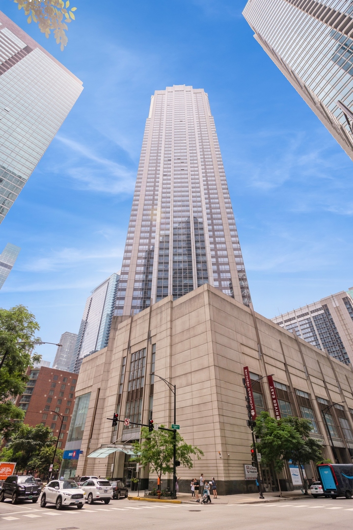 Chicago, Illinois 60611, United States, 1 Bedroom Bedrooms, ,1 BathroomBathrooms,Residential,Active,232597