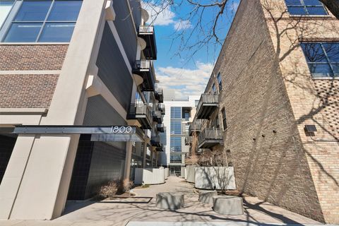 1800 W Grace Street 411 Chicago IL 60613