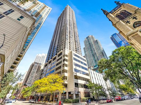 30 E Huron Street 3204 Chicago IL 60611