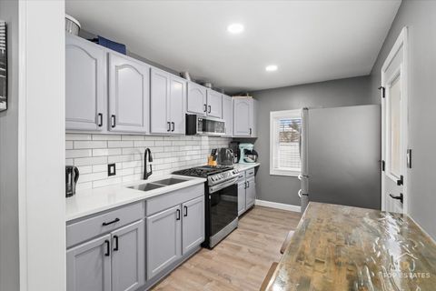 Tiny photo for 268 N Gifford Street, Elgin, IL 60120 (MLS # 12552351)