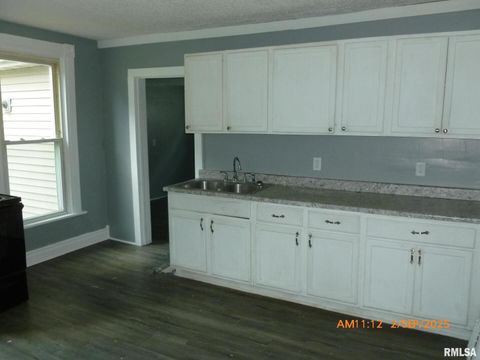 Tiny photo for 752 17TH Avenue, East Moline, IL 61244 (MLS # QC4267730)