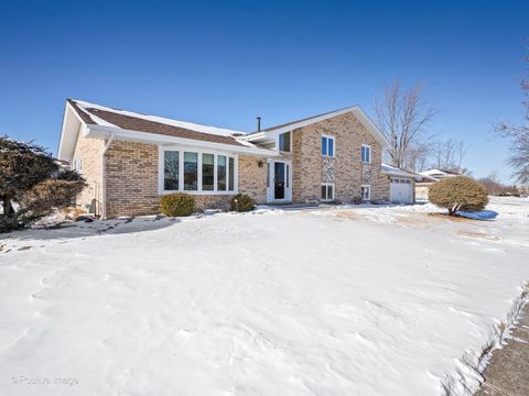 Photo of 14138 Terry Drive, Orland Park, IL 60462 (MLS # 12553164)