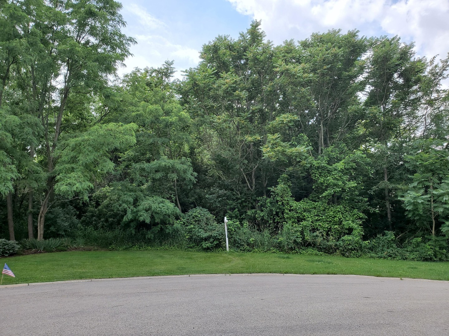 LOT 43 Scenic Court