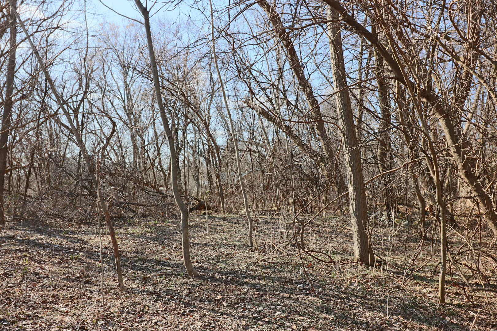LOT 43 Scenic Court