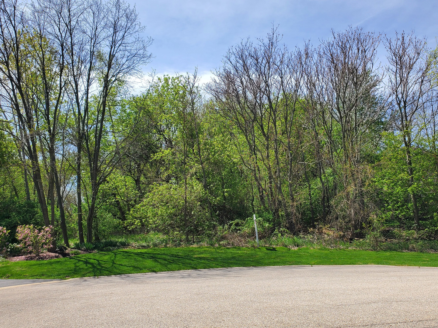 LOT 43 Scenic Court