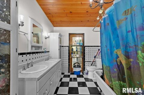 Tiny photo for 705 13TH Street W, Milan, IL 61264 (MLS # 12598891)