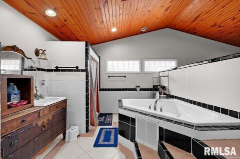 Tiny photo for 705 13TH Street W, Milan, IL 61264 (MLS # 12598891)