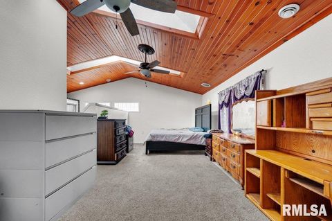 Tiny photo for 705 13TH Street W, Milan, IL 61264 (MLS # 12598891)