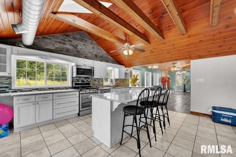 Tiny photo for 705 13TH Street W, Milan, IL 61264 (MLS # 12598891)