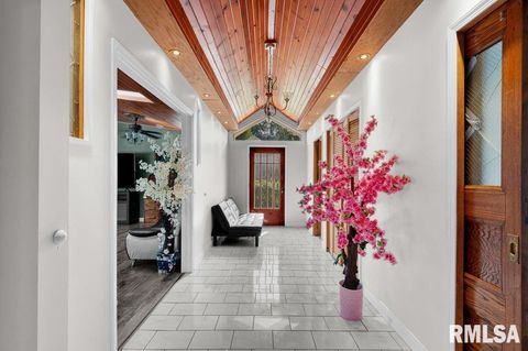 Tiny photo for 705 13TH Street W, Milan, IL 61264 (MLS # 12598891)