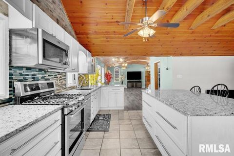 Tiny photo for 705 13TH Street W, Milan, IL 61264 (MLS # 12598891)