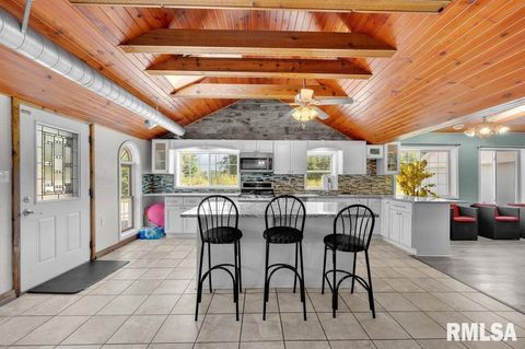 Tiny photo for 705 13TH Street W, Milan, IL 61264 (MLS # 12598891)