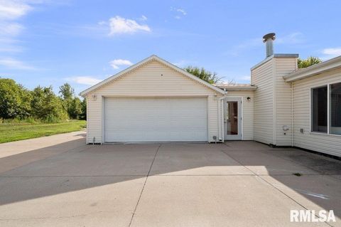 Tiny photo for 705 13TH Street W, Milan, IL 61264 (MLS # 12598891)
