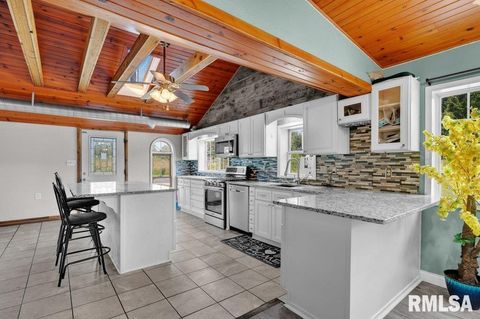 Tiny photo for 705 13TH Street W, Milan, IL 61264 (MLS # 12598891)