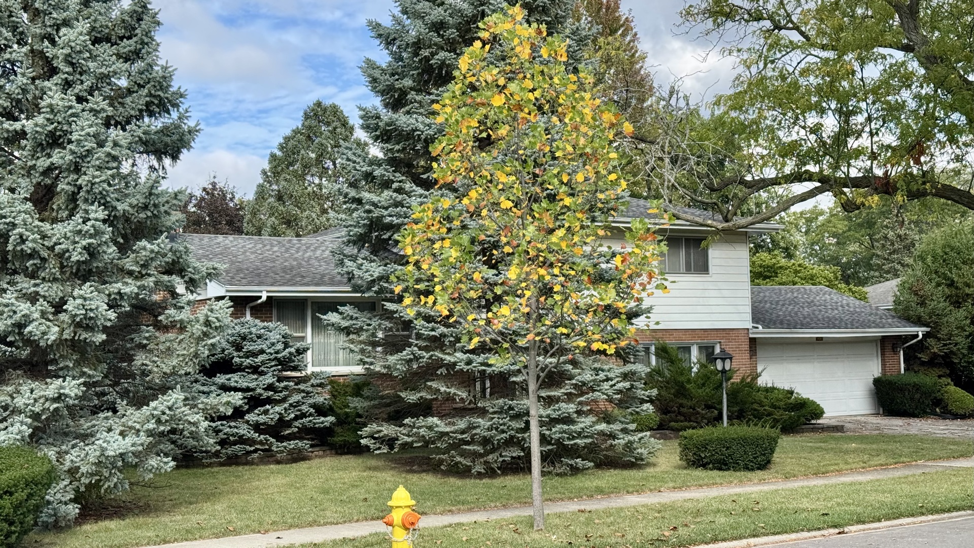 900 E Golfview Drive