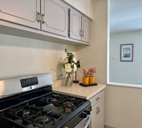 Tiny photo for 3051 S Scott Street, Des Plaines, IL 60018 (MLS # 12532262)