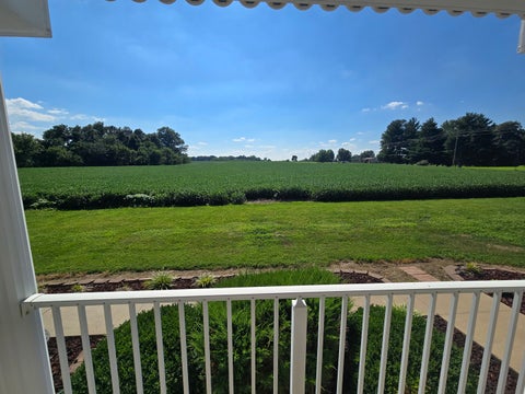 Tiny photo for 11957 E Harrison Road, Mt Vernon, IL 62864 (MLS # 12698830)