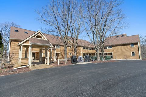 Photo of A22 Long Bay Point Drive #A22, Galena, IL 61036 (MLS # 12321816)