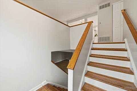 Tiny photo for 427 Chopin Court, Schaumburg, IL 60193 (MLS # 12709052)