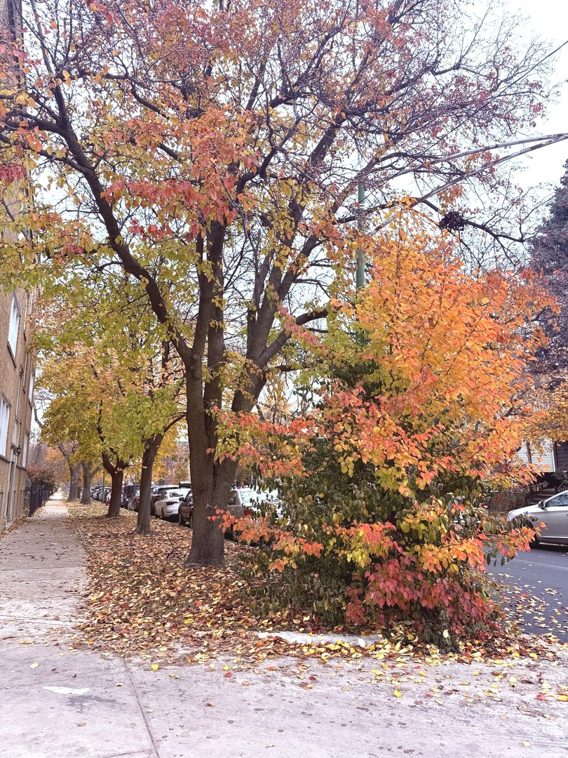 4034 N Monticello Avenue