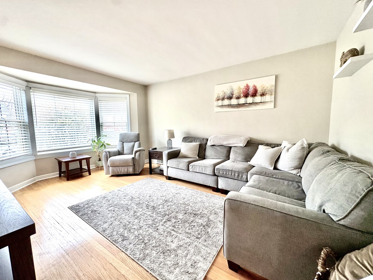 10223 S Spaulding Avenue