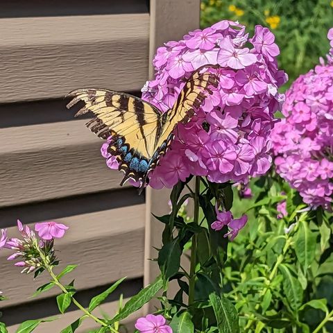 Tiny photo for 405 S Fairfield Avenue, Lombard, IL 60148 (MLS # 12529605)