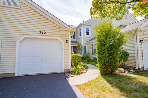 A home in Elk Grove Village