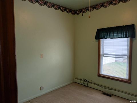 Tiny photo for 1207 BURGESS Street, Johnston City, IL 62951 (MLS # EB460323)