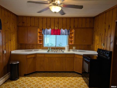 Tiny photo for 1207 BURGESS Street, Johnston City, IL 62951 (MLS # EB460323)