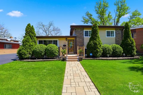 Photo of 319 N Bradley Drive, Chicago Heights, IL 60411 (MLS # 12632913)