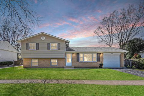 476 Raupp Boulevard Buffalo Grove IL 60089