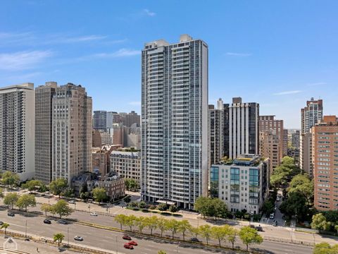 1300 N Lake Shore Drive 8BC Chicago IL 60610