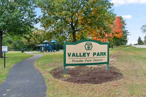 Tiny photo for 23W620 Walnut Street, Roselle, IL 60172 (MLS # 12482918)