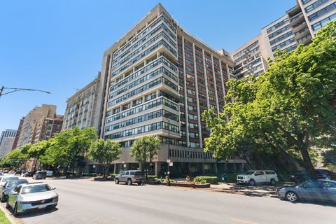 3410 N Lake Shore Drive 5E Chicago IL 60657