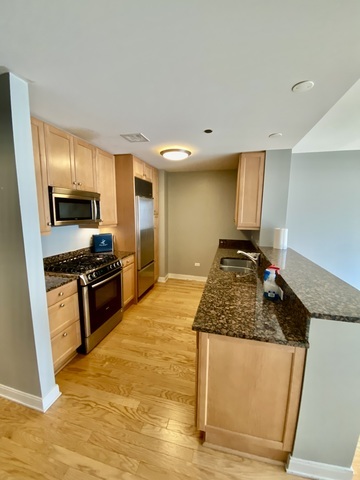 60 E Monroe Street 2205