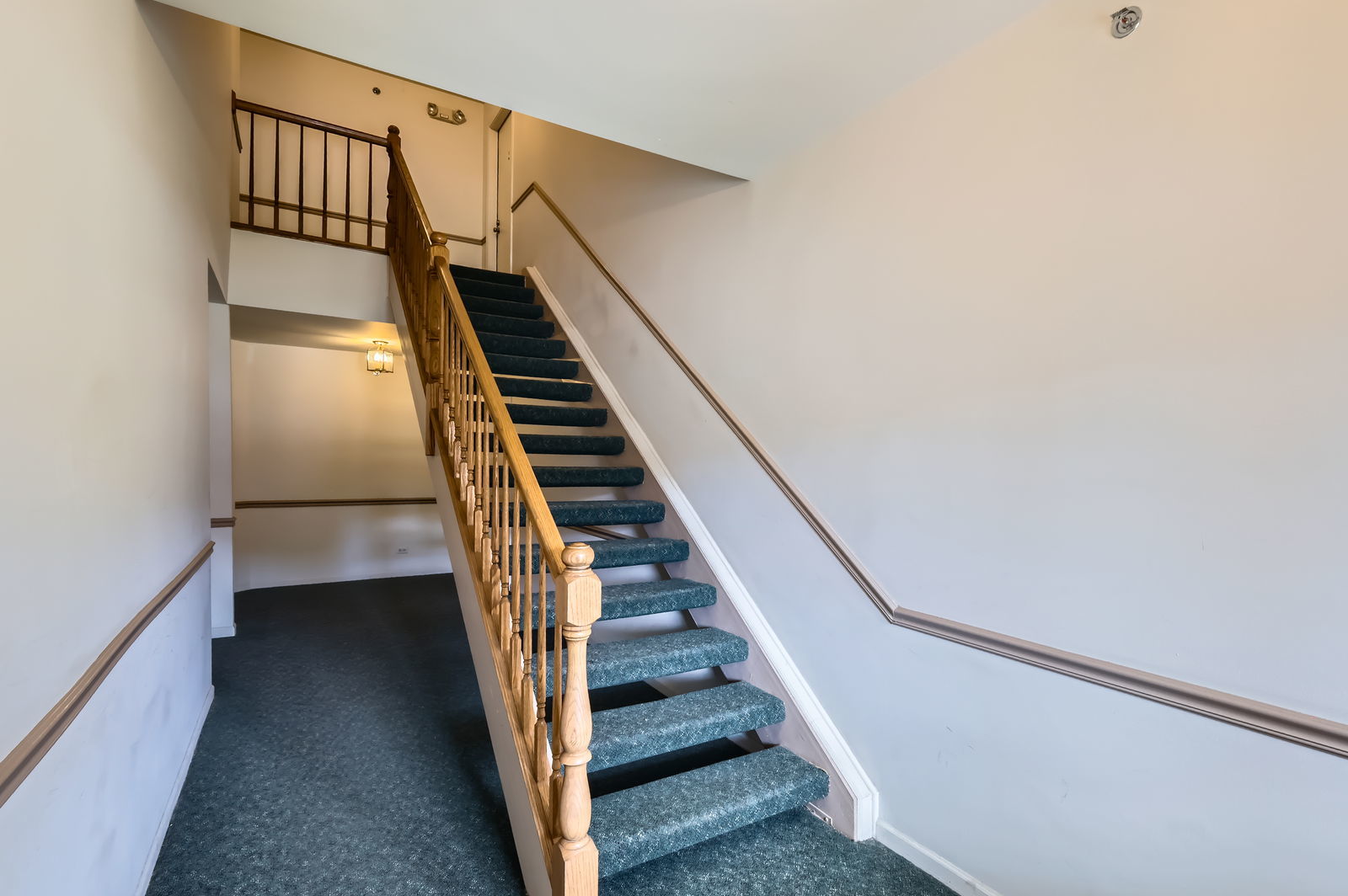 1240 Winfield Court 4