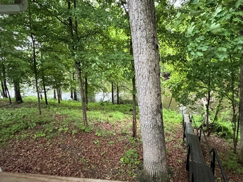 Tiny photo for 1890 Lackey Lane, Centralia, IL 62801 (MLS # 12651870)