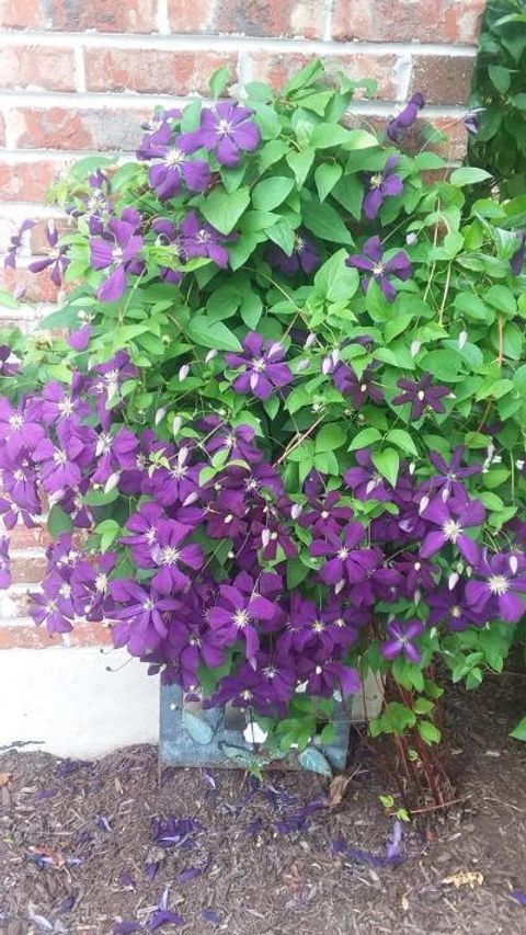 Tiny photo for 21249 LILY LAKE Lane, Crest Hill, IL 60403 (MLS # 12583092)