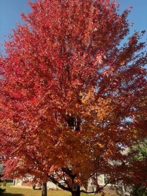 Tiny photo for 21249 LILY LAKE Lane, Crest Hill, IL 60403 (MLS # 12583092)