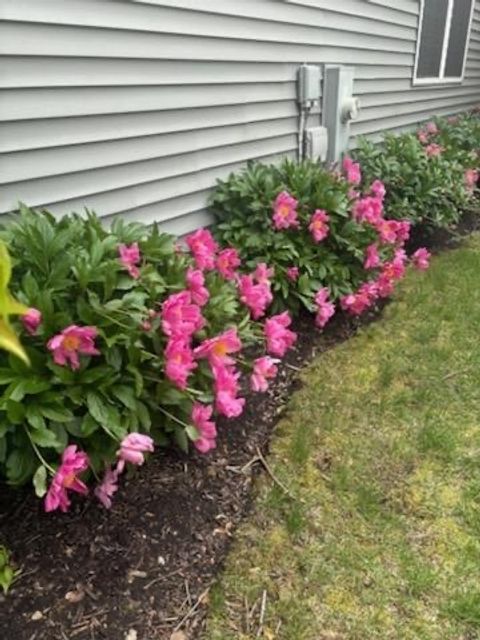 Tiny photo for 21249 LILY LAKE Lane, Crest Hill, IL 60403 (MLS # 12583092)