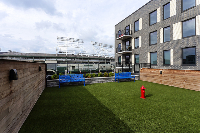 1025 W Addison Street 805