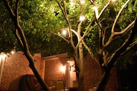 Tiny photo for 19824 Maydell Court, Tinley Park, IL 60487 (MLS # 12596356)