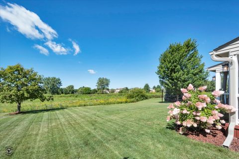 Tiny photo for 19824 Maydell Court, Tinley Park, IL 60487 (MLS # 12596356)