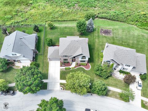 Tiny photo for 19824 Maydell Court, Tinley Park, IL 60487 (MLS # 12596356)